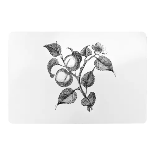 Mantel individual rectangular con diseño frutas de 43.5×28.5cm