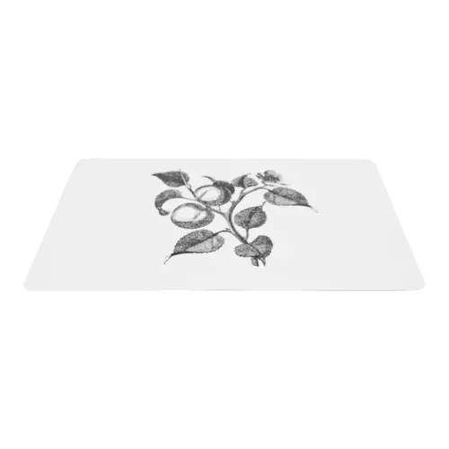 Mantel individual rectangular con diseño frutas de 43.5×28.5cm
