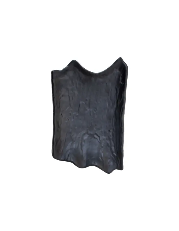 Plato de melamina diseño hoja negro de 18x27.5x5cm - Image 2