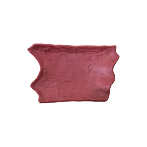 Plato de melamina diseño hoja rojo de 18×27.5x5cm