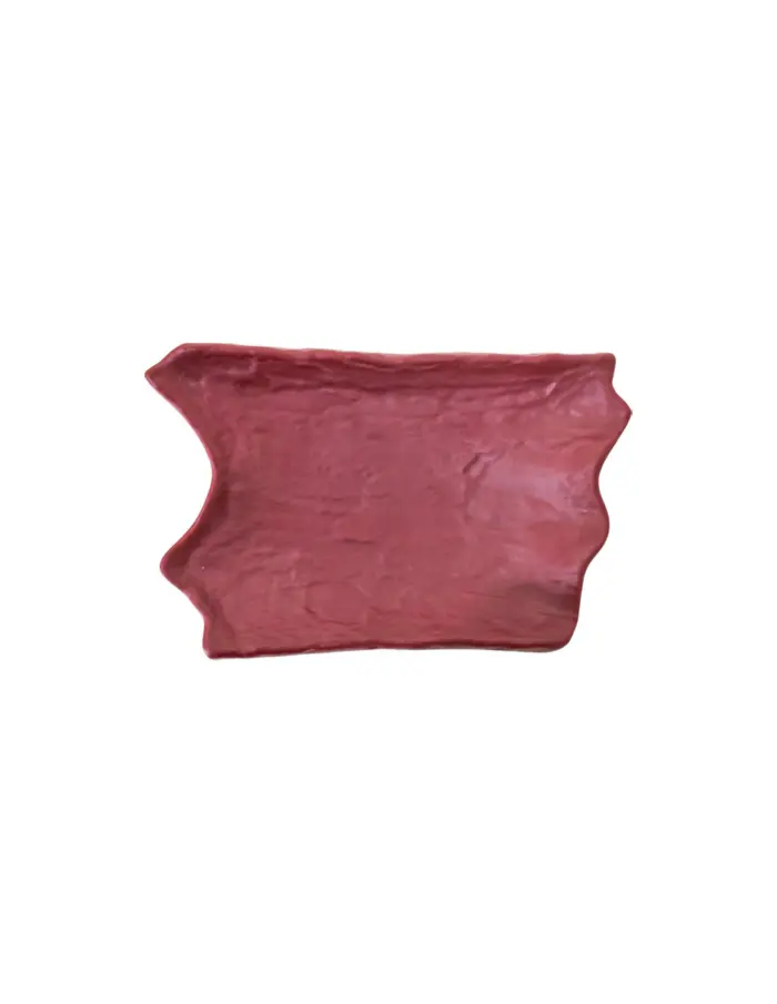 Plato de melamina diseño hoja rojo de 18x27.5x5cm - Image 2