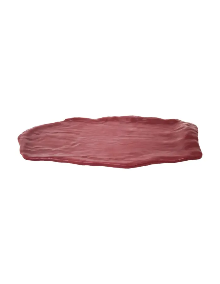 Plato de melamina rectangular rojo de 21x40x1.2cm - Image 2