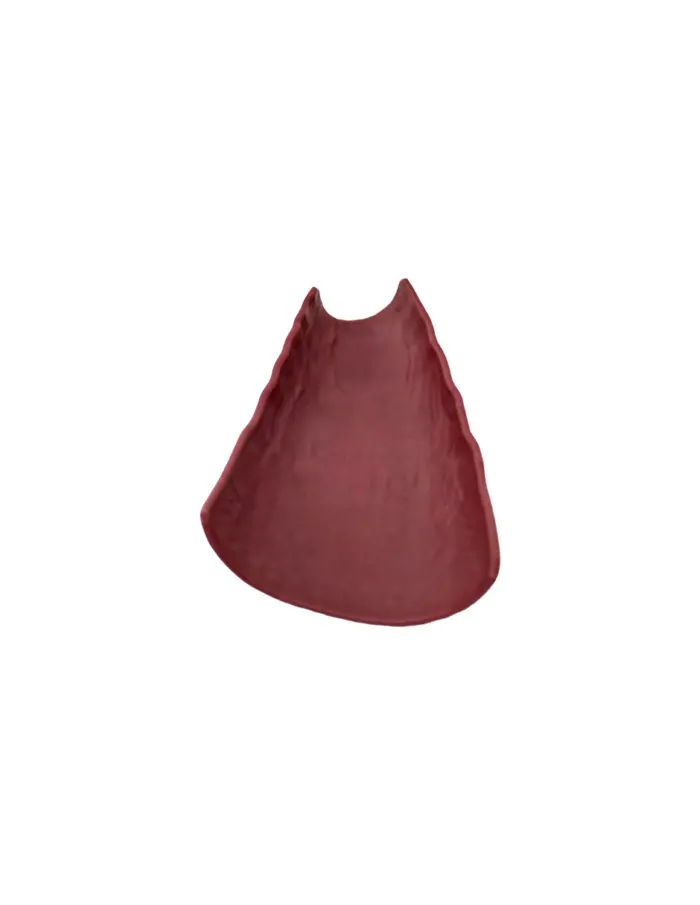 Plato de melamina diseño curvo rojo de 13x26x6.5cm - Image 2