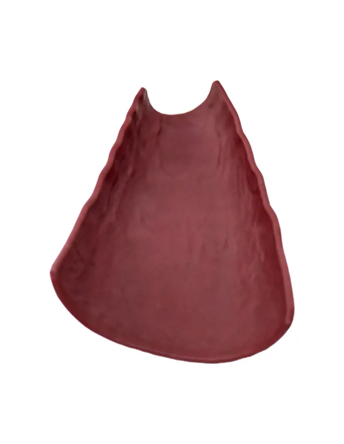 Plato de melamina diseño curvo rojo de 17x34.5x9cm - Image 2