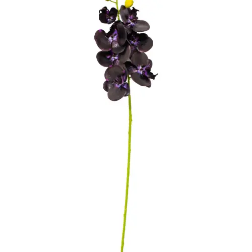Vara de orquidea morada oscura de 1x73x1cm