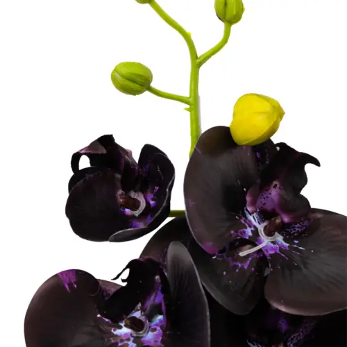 Vara de orquidea morada oscura de 1x73x1cm