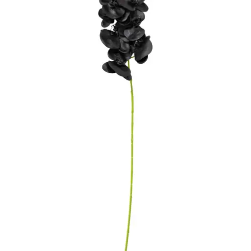 Vara de orquidea negra de 1x85x1cm