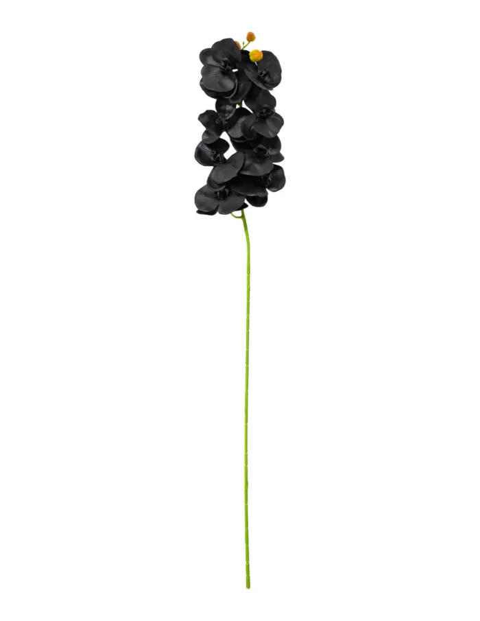 301001736339-galerias el triunfo