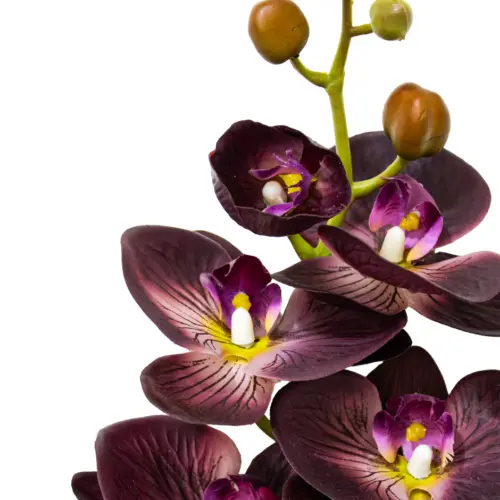 Vara de orquidea morada oscura de 1x100x1cm