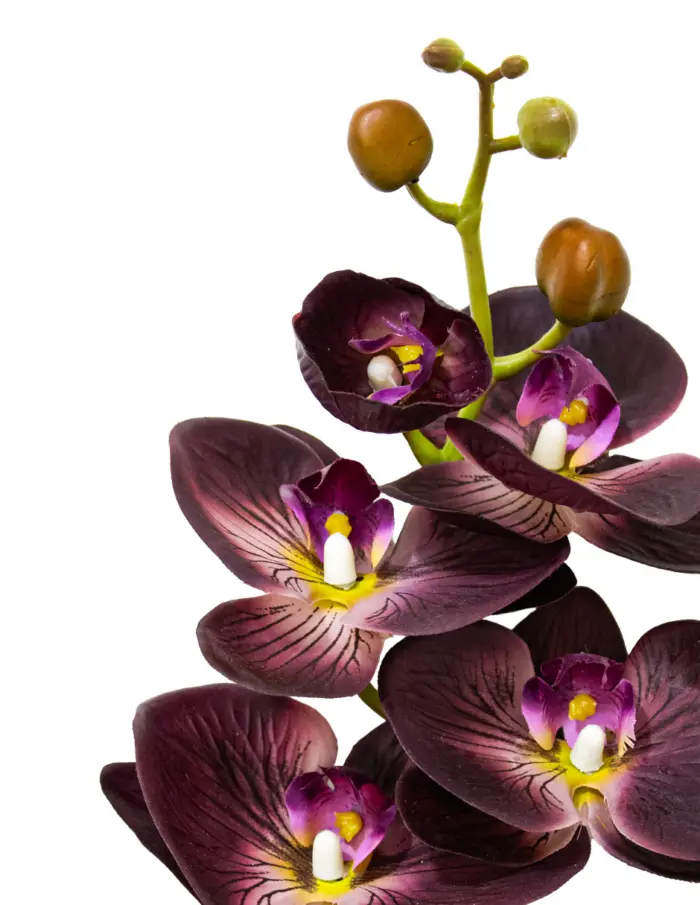 Vara de orquidea morada oscura de 1x100x1cm - Image 2