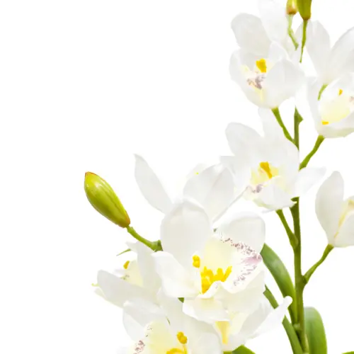 Árbol de flores blancas de 150cm