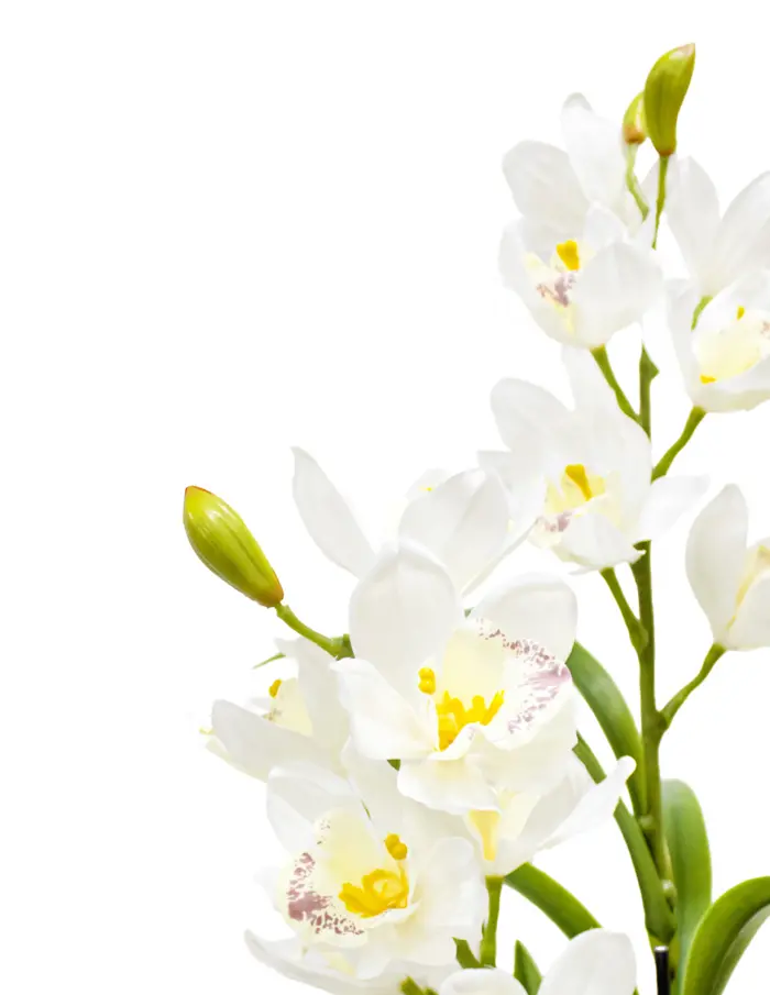 Árbol de flores blancas de 150cm - Image 2