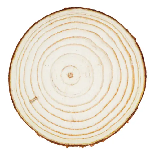 Juego de 6 piezas de posavasos de madera de 9x9x6cm