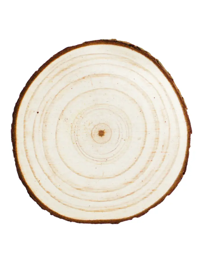 Juego de 12 piezas de posavasos de madera de 7x7x12cm - Image 2