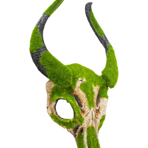 Mascara diseño cráneo de antilope