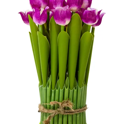 Ramo de tulipanes ciruela en base de 7.5×7.5x21cm