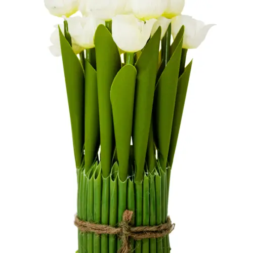 Ramo de tulipanes blancos en base de 7.5×7.5x21cm
