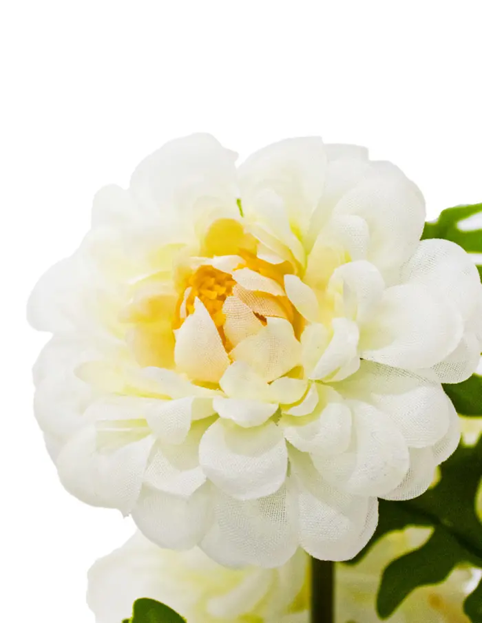 Ramo de flor blanco con base de 7.3x7.3x28cm - Image 3