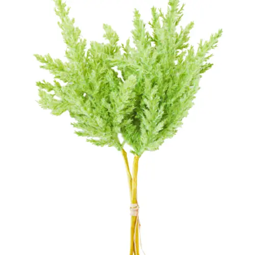Ramo de follaje de elecho verde de 20x40x0.1cm
