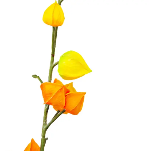 Vara de flores naranja de 7x75x0.1cm