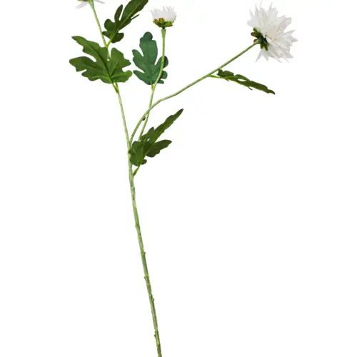 Vara con 3 flores blancas de 12x78x0.1cm