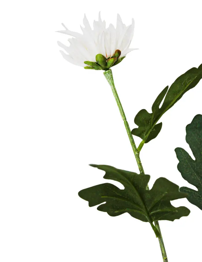 Vara con 3 flores blancas de 12x78x0.1cm - Image 2