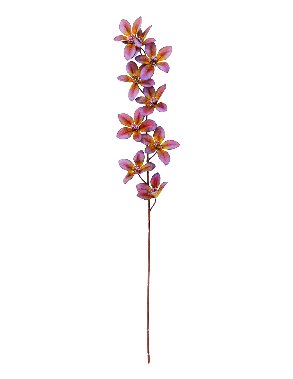 301001736930-galerias el triunfo
