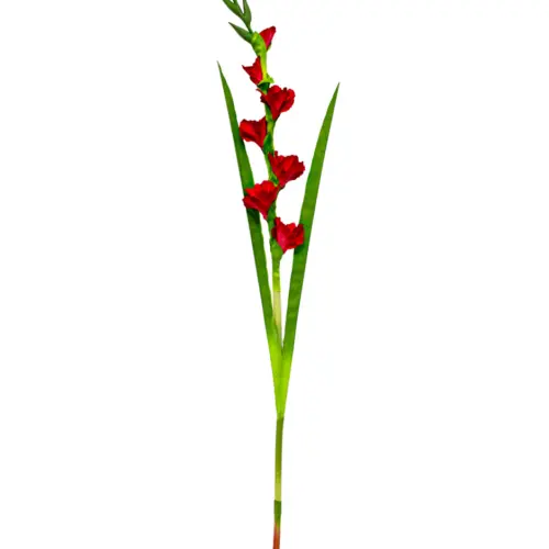 Vara de flor gladiola roja de 11x87x0.1cm