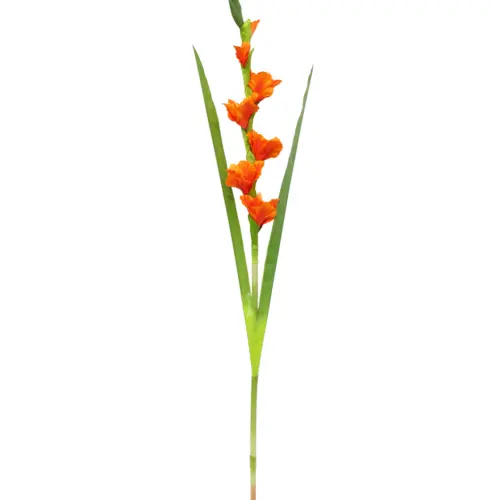 Vara de flor de gladiola naranja de 13x63x0.1cm