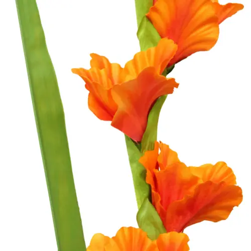 Vara de flor de gladiola naranja de 13x63x0.1cm