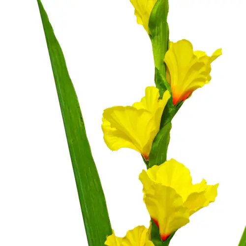 Vara de flor de gladiola amarilla de 10x115x0.1cm