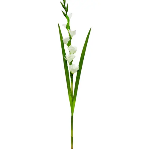 Vara de flor de gladiola blanca de 10x115x0.1cm
