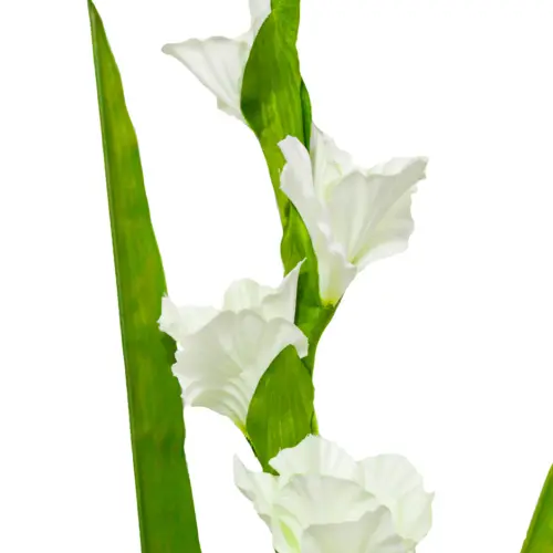 Vara de flor de gladiola blanca de 10x115x0.1cm