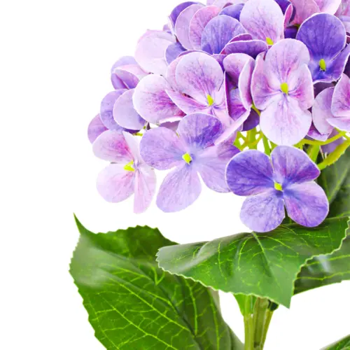 Vara de hortensia púrpura de 18x66x0.1cm