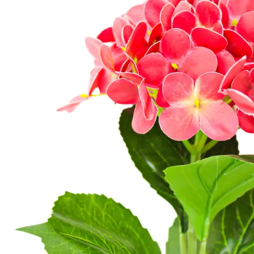 Vara de hortensia roja de 18x66x0.1cm
