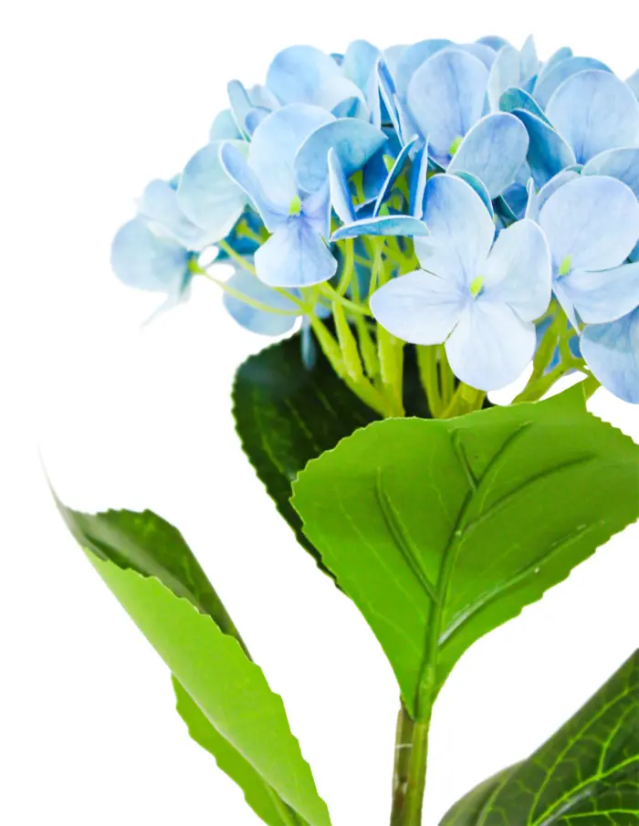 Vara de hortensia azul de 18x66x0.1cm - Image 2