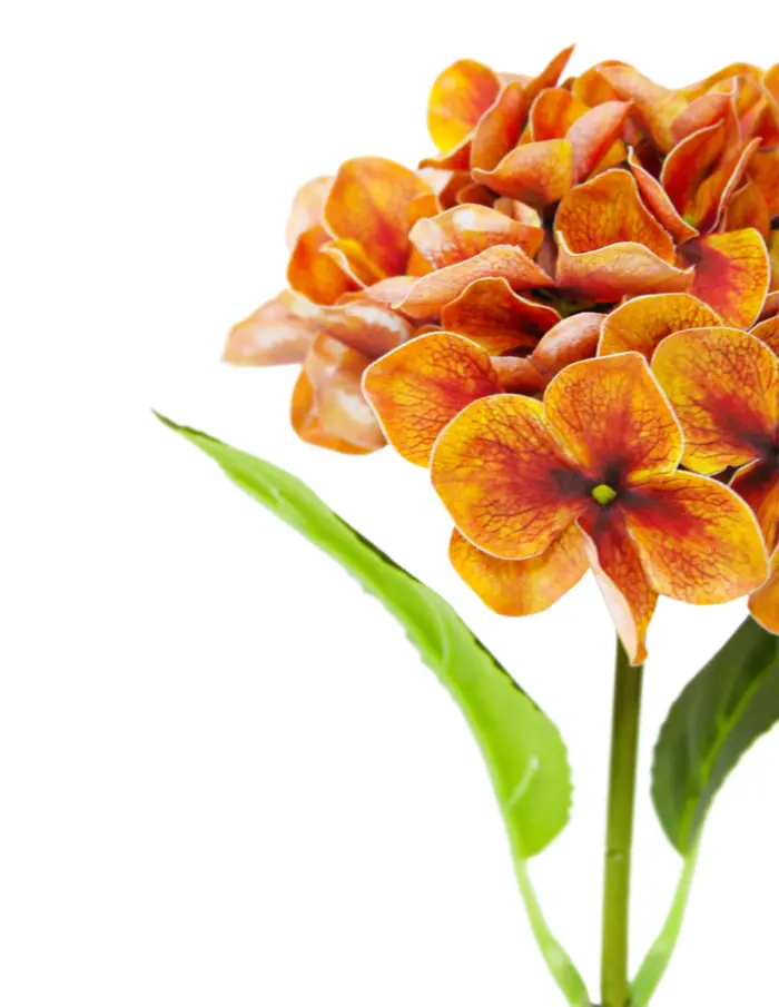 Vara de hortensia naranja de 16x45x0.1cm - Image 2