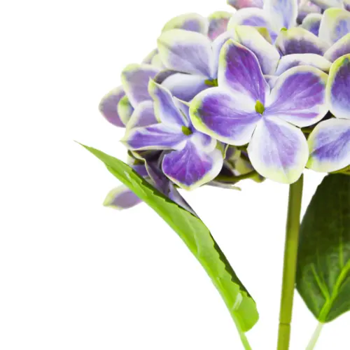 Vara de hortensia púrpura de 16x45x0.1cm