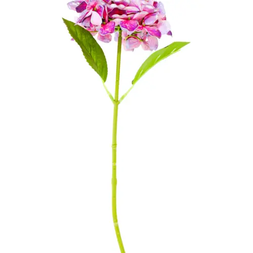 Vara de hortensia ciruela de 16x45x0.1cm