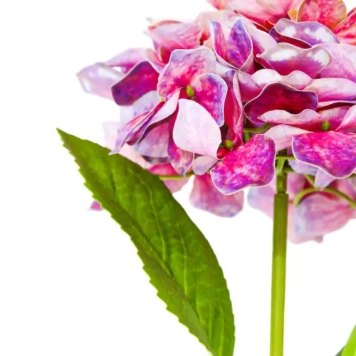 Vara de hortensia ciruela de 16x45x0.1cm