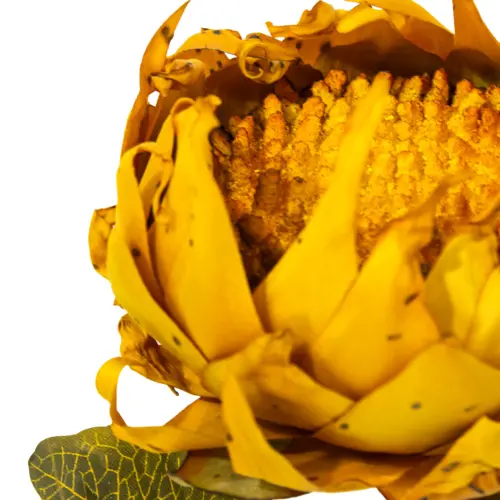 Vara de girasol naranja