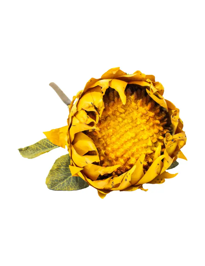 Vara de girasol naranja - Image 3