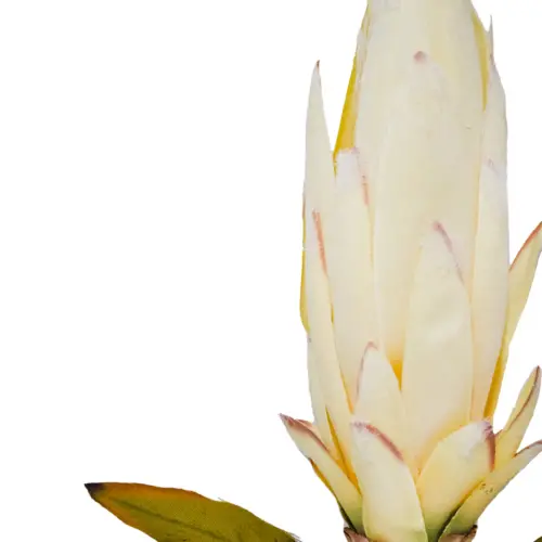 Vara de flor artificial exotica blanca
