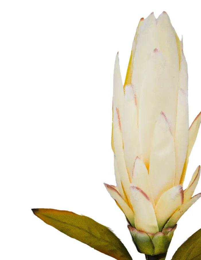 Vara de flor artificial exotica blanca - Image 2