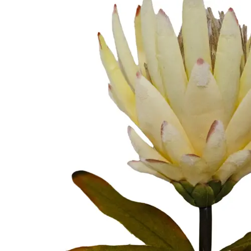 Vara de flor artificial exotica blanca