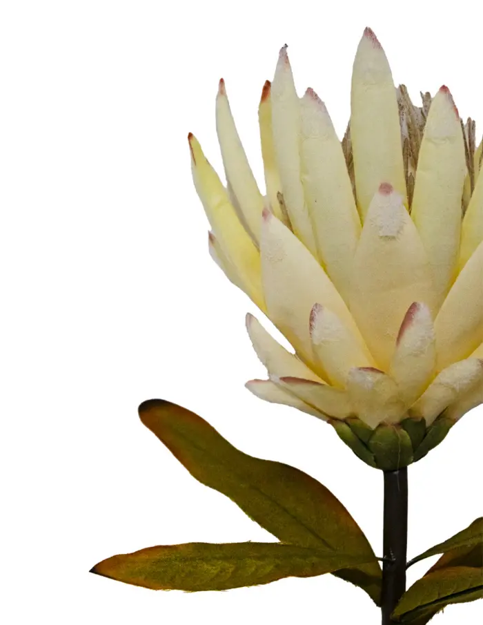 Vara de flor artificial exotica blanca - Image 2