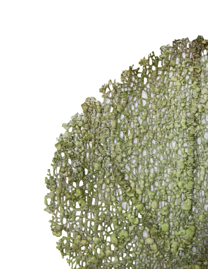 Vara de hoja artificial verde - Image 2