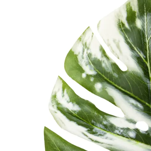Vara de hoja artificial verde con blanco