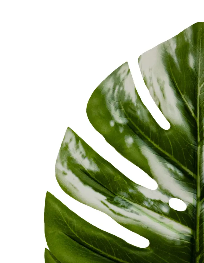 Vara de hoja artificial verde con blanco - Image 2