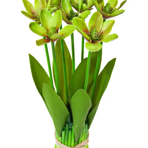 Ramo con base y margaritas verdes de 8x8x40cm